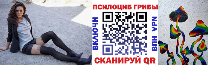 Галлюциногенные грибы Cubensis  Кудымкар 